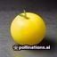 用户lemon0x头像